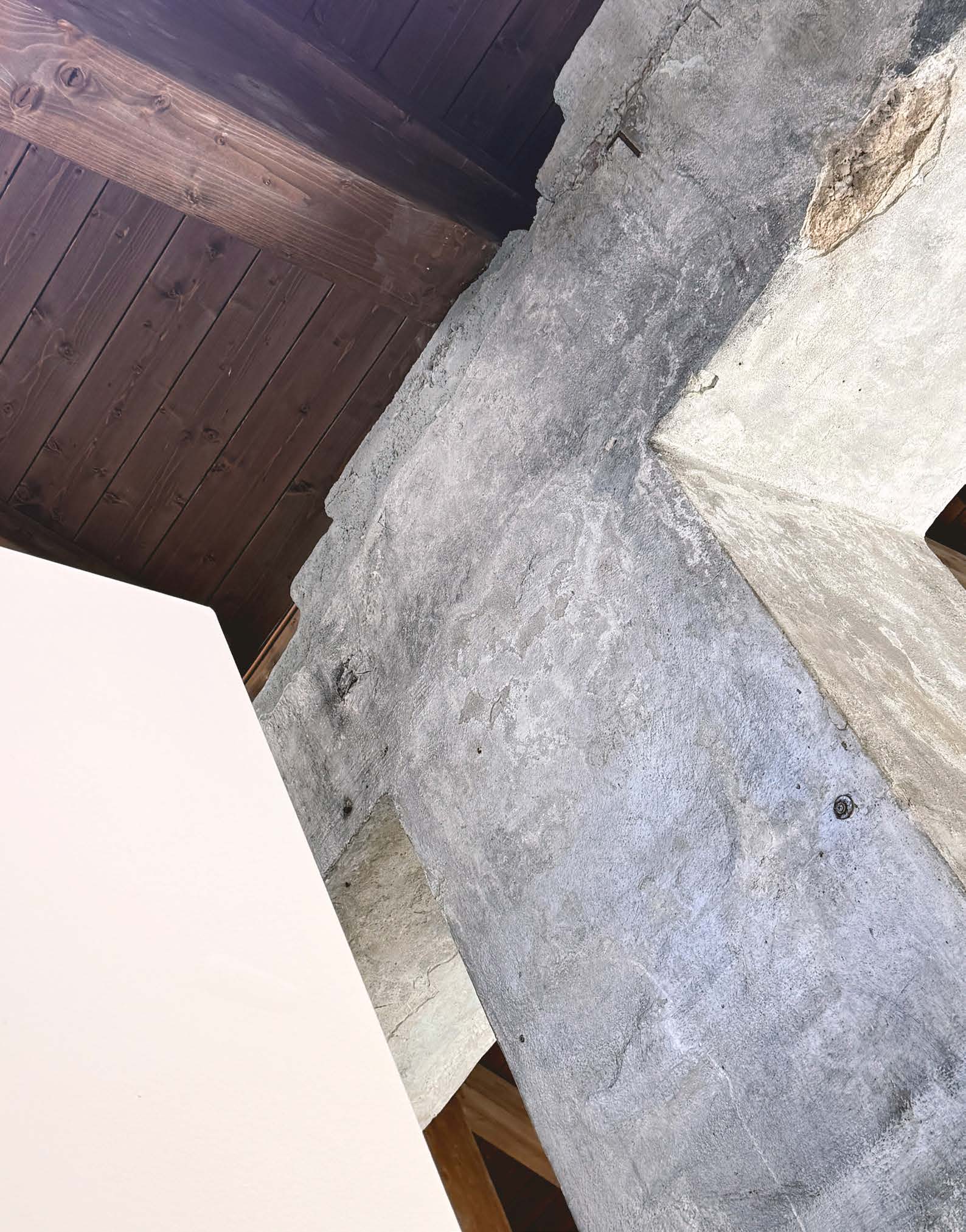 Exposed concrete columns